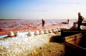 Uniknya Danau Garam Di Senegal