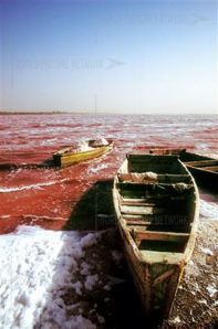 Uniknya Danau Garam Di Senegal